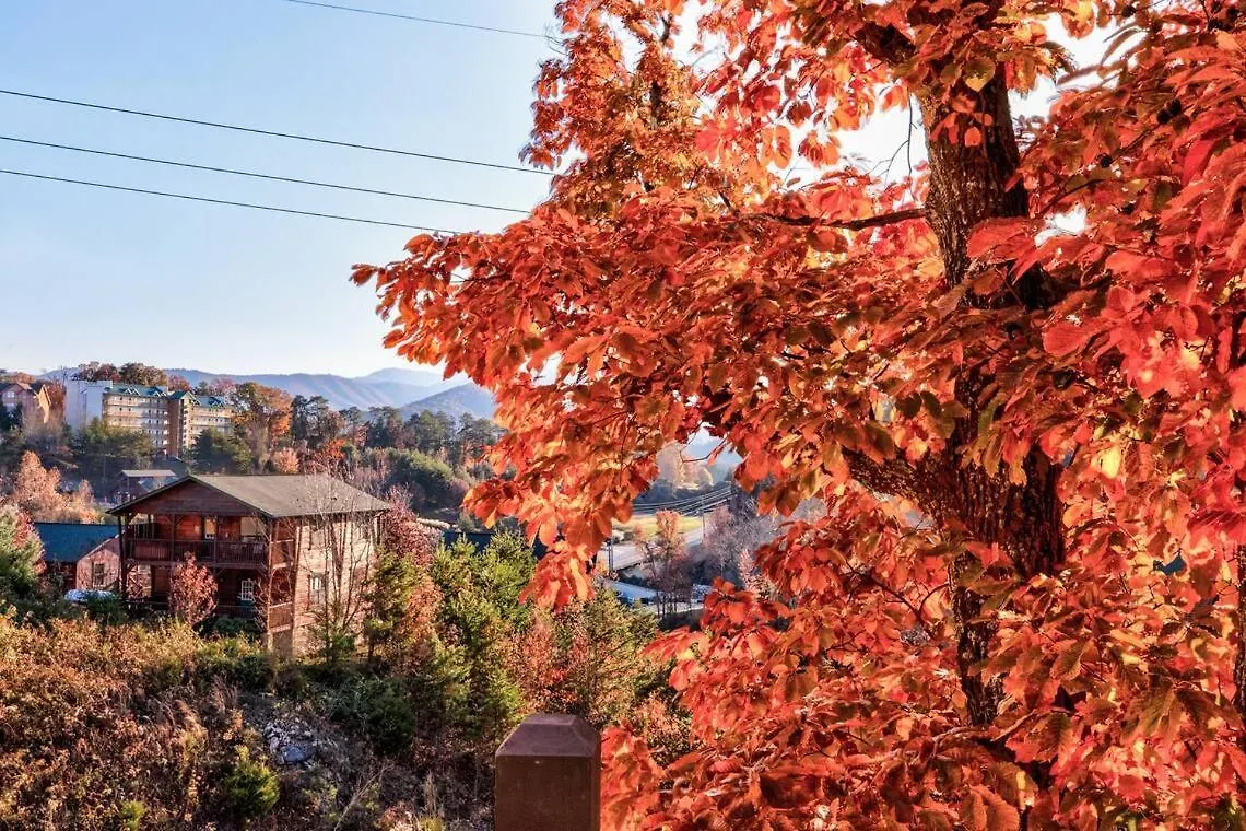 Southern Comfort Lodge-in Pigeon Forge, Sleeps 18-7br 6ba Luxury Cabin, W Free Attraction Ticket! *