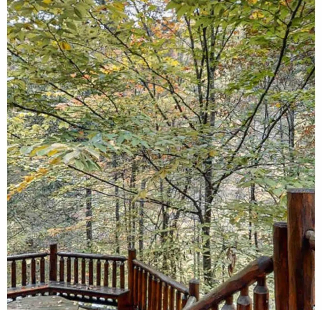 Semesterbostad Beautiful 6 Bdr Cabin With Hot Tub In The Smokies!