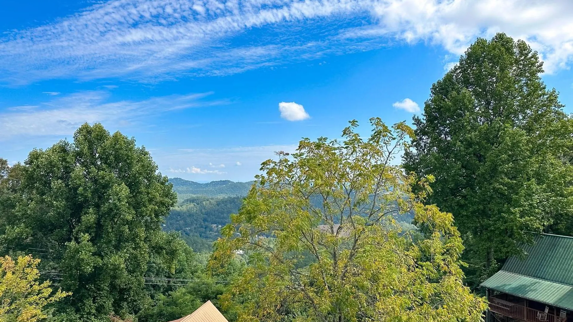 Little Black Bear Retreat Pigeon Forge