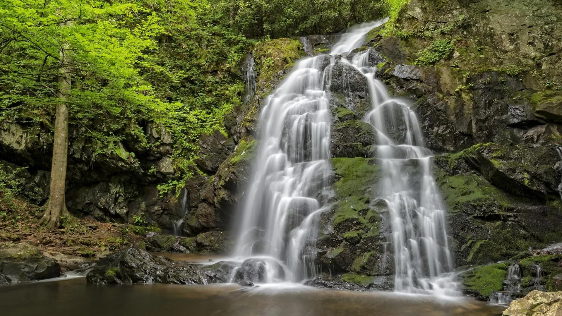Stones Throw- Get 1089 In Free Attraction Tickets, Dollywood And More, Pool, Game Holiday home *