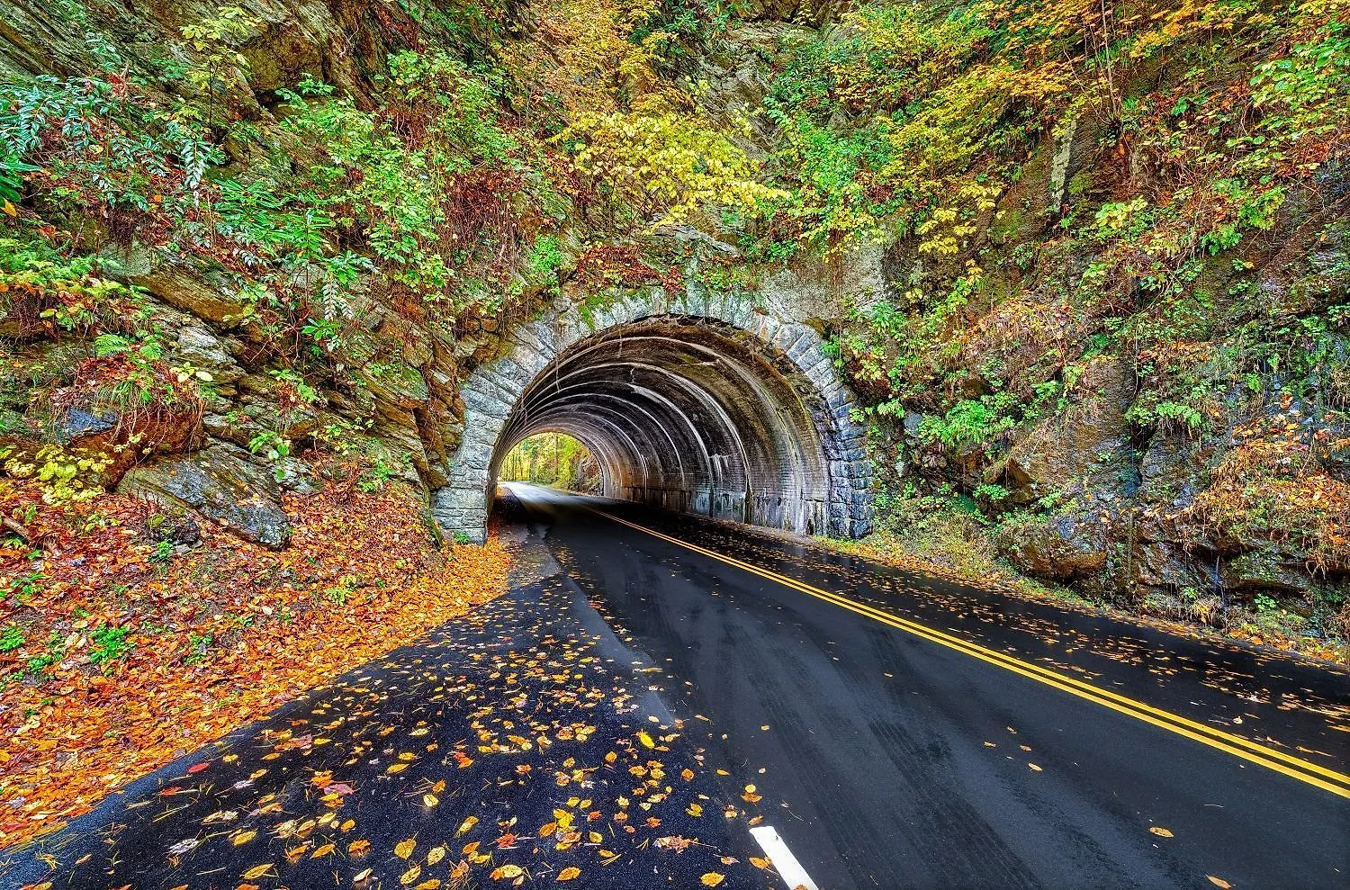 Stones Throw- Get 1089 In Free Attraction Tickets, Dollywood And More, Pool, Game Holiday home *