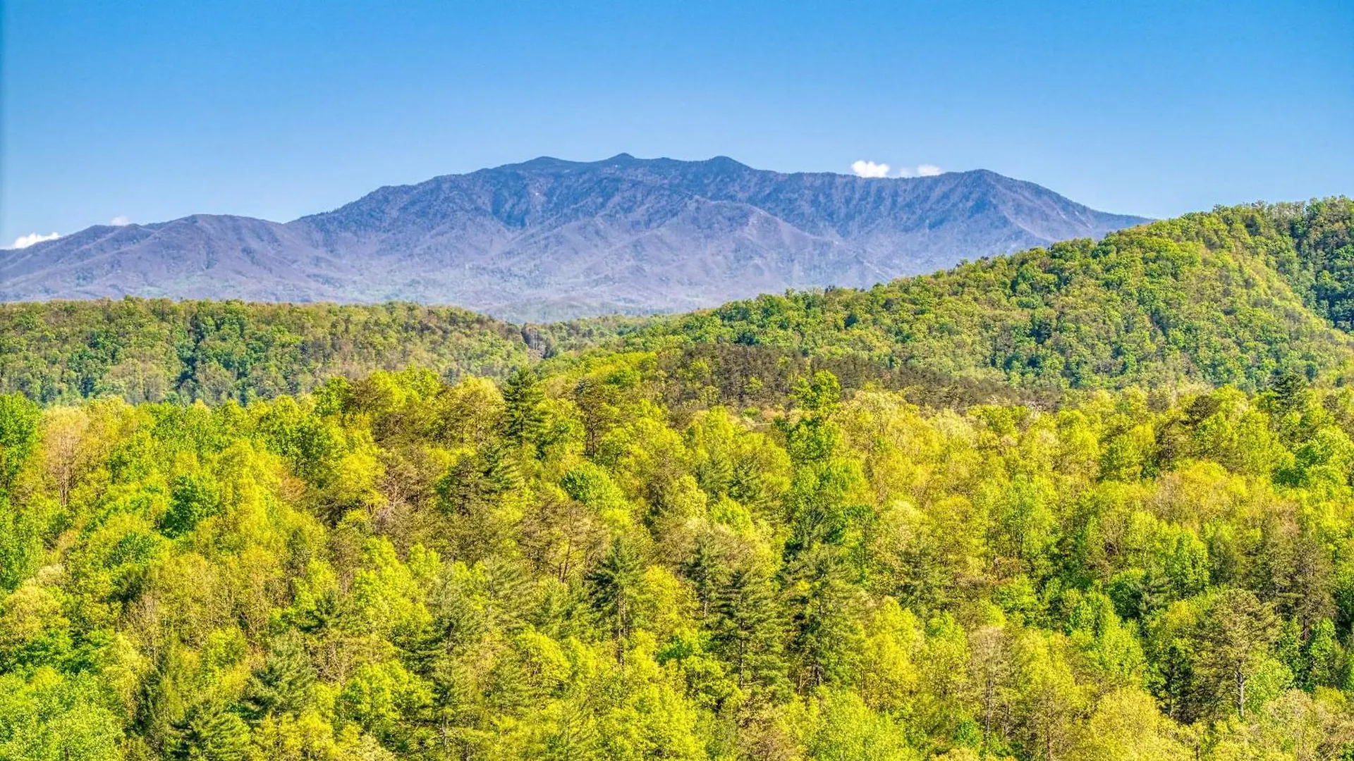 Stones Throw- Get 1089 In Free Attraction Tickets, Dollywood And More, Pool, Game Holiday home *