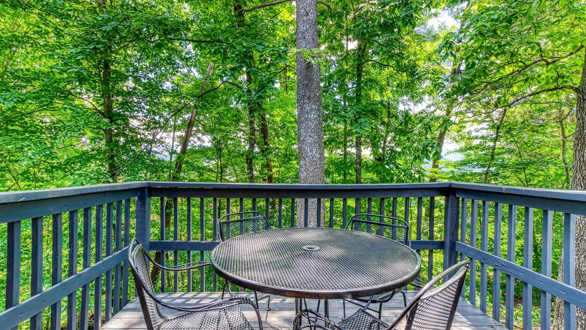 Vakantiehuis Cozy Bear Hill, Pool, 1089 Of Free Attraction Tickets For Each Paid Day, Dollywood And More! Pigeon Forge