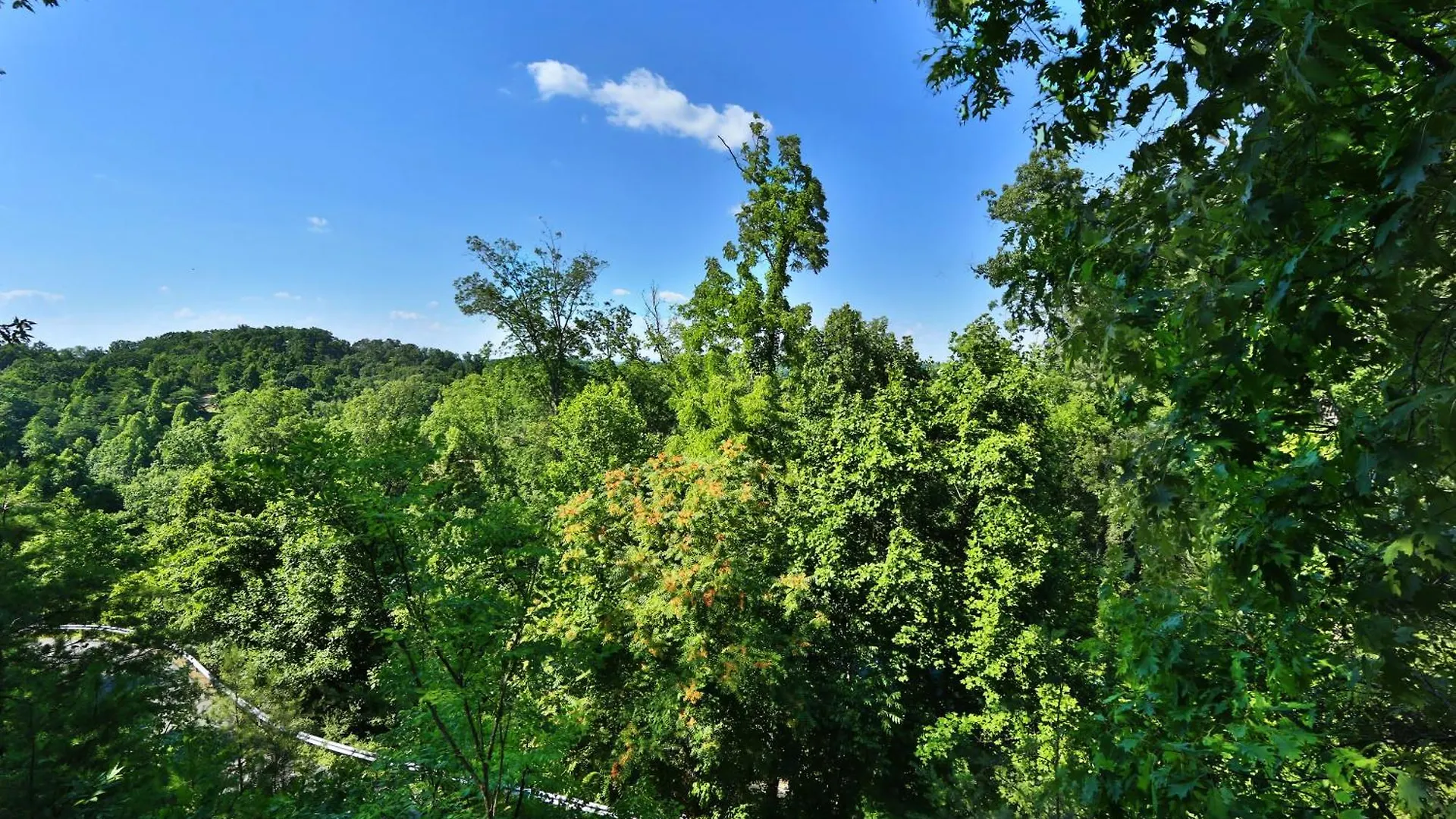 Casa vacanze Pine Needles By Eden Crest Pigeon Forge