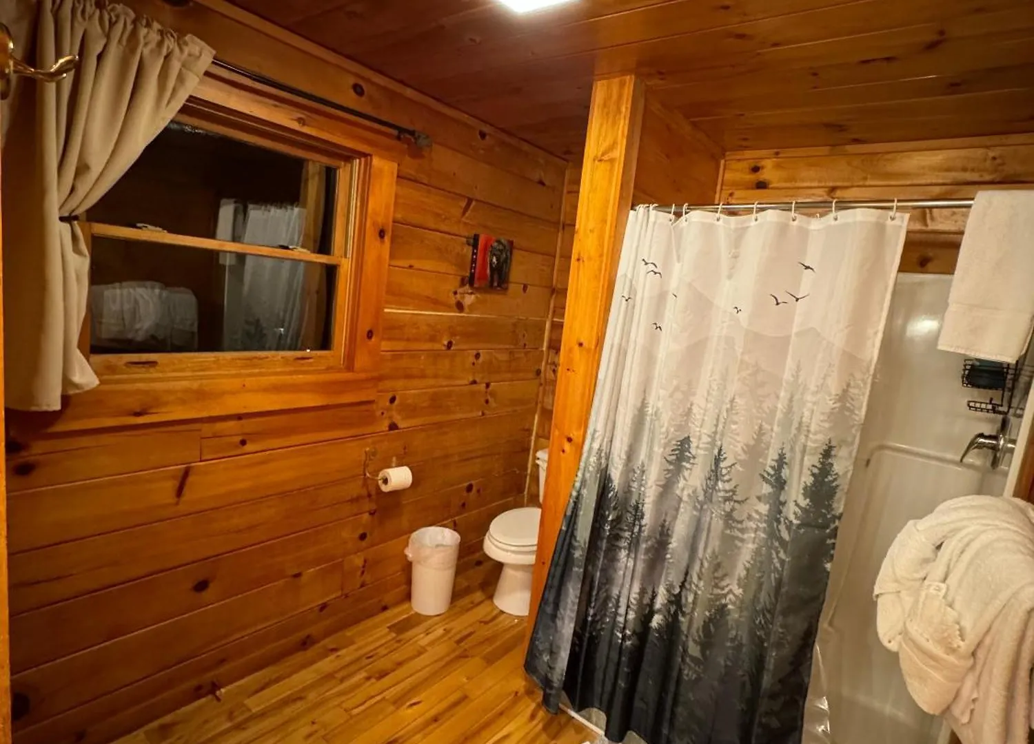 Smoky Paws - Exceptional Cabin, Stunning Mountain Views, Hot Tub, Tranquil, Gigabit Internet, Free L2 Ev Pigeon Forge