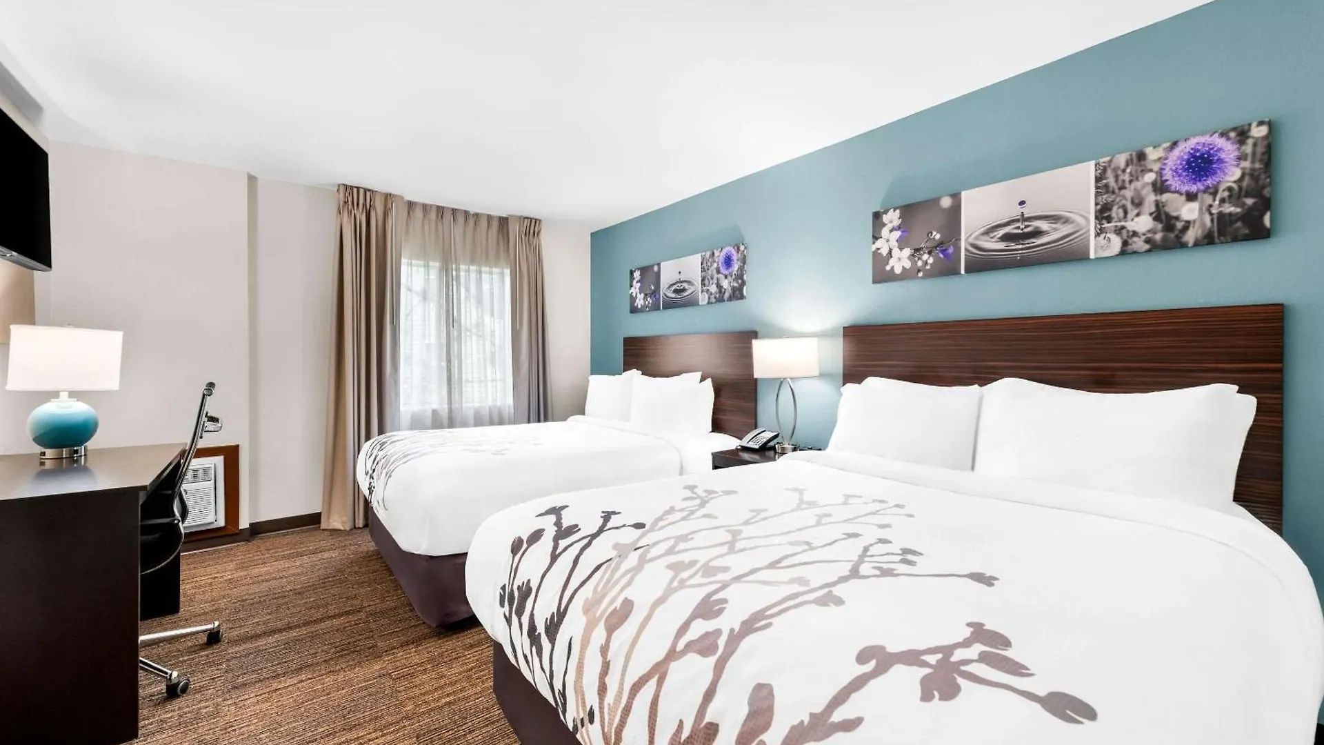 Sleep & Downtown Hotel Pigeon Forge