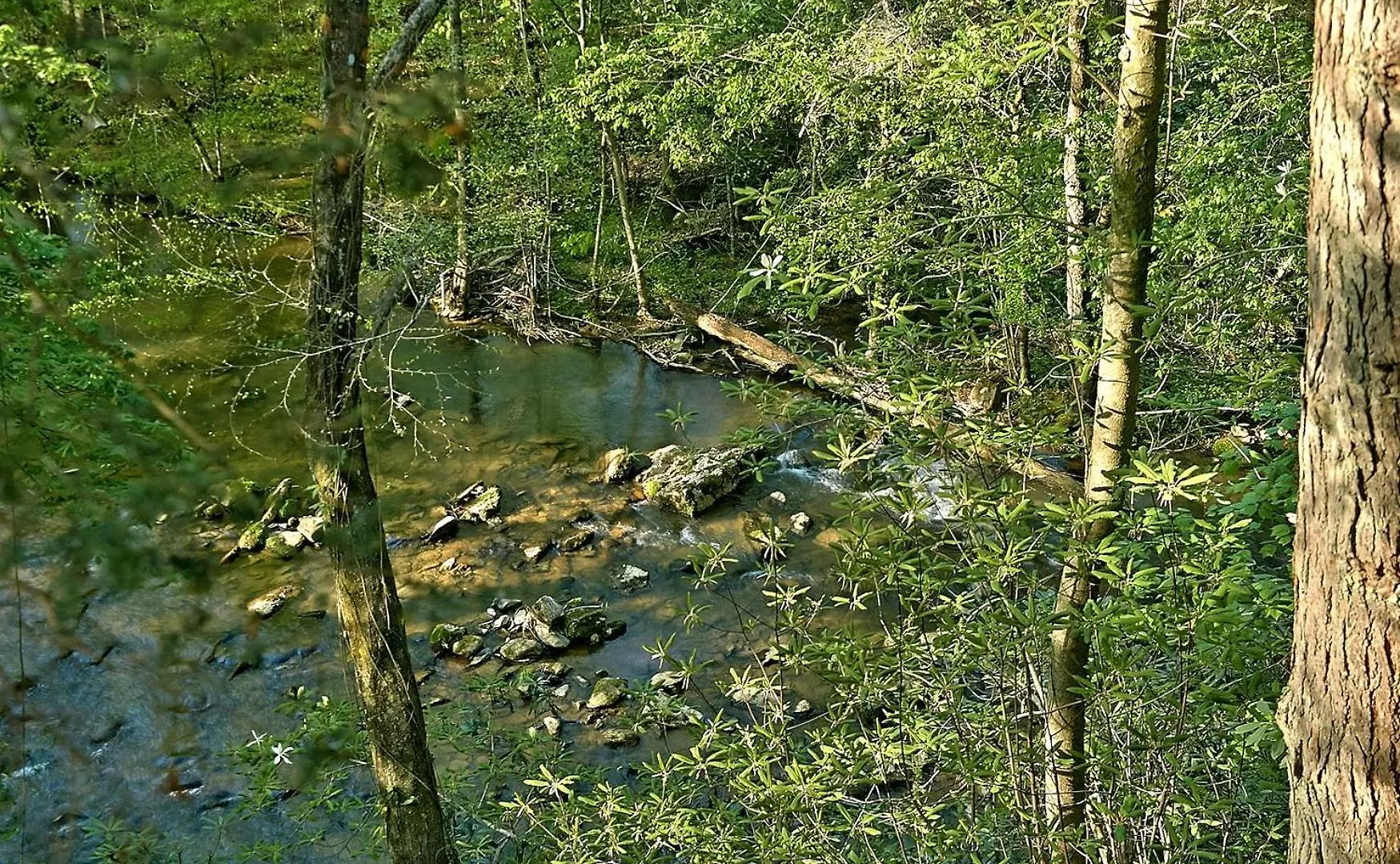 Whispering Waters #208 * Pigeon Forge