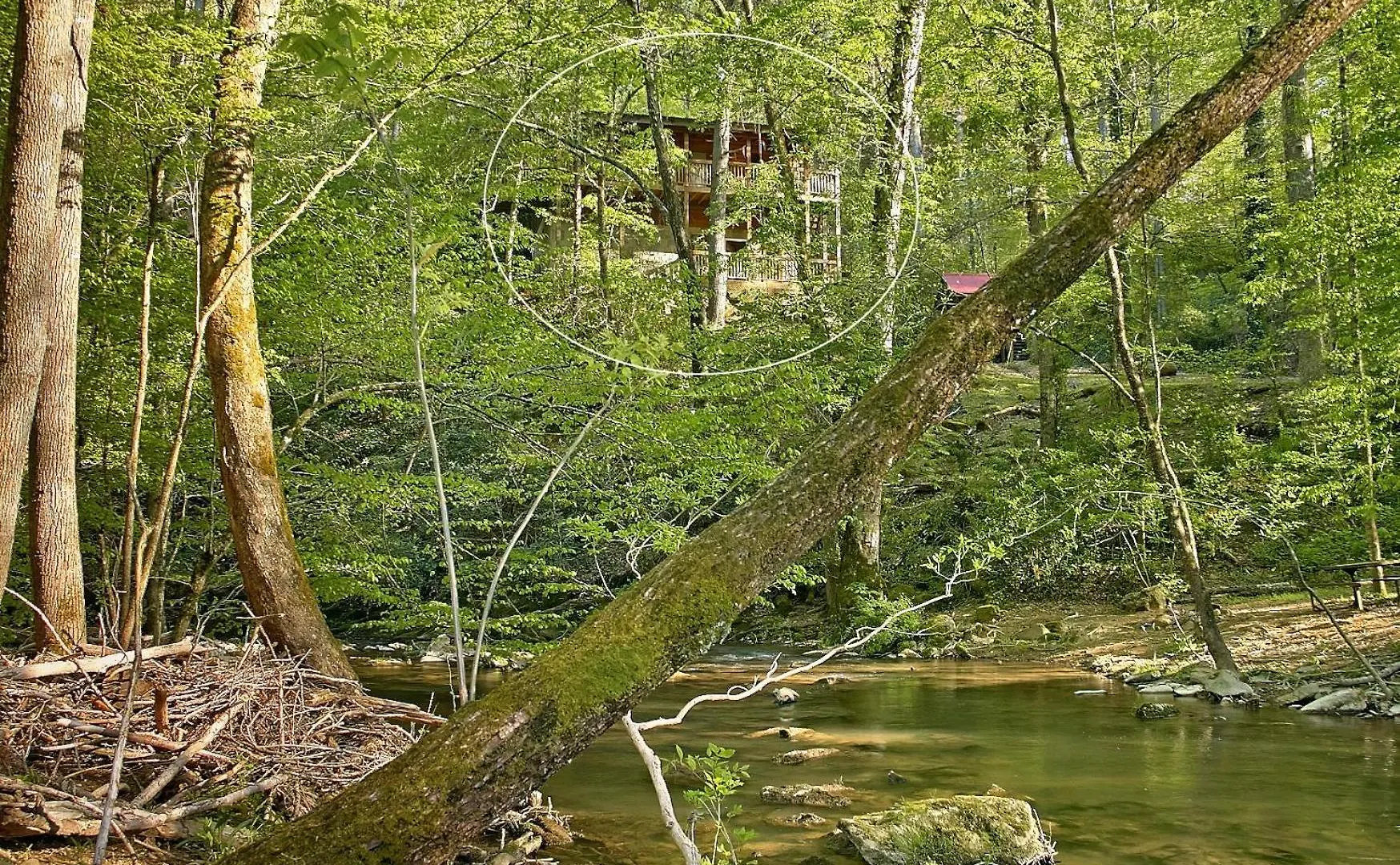 Whispering Waters #208 * Pigeon Forge