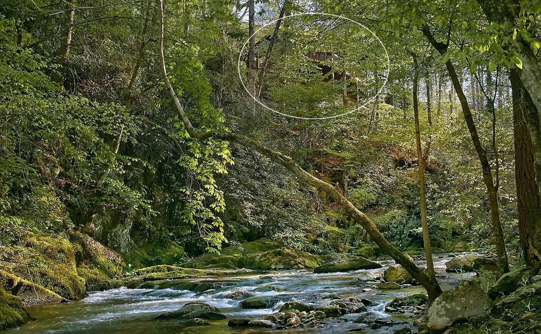 Holiday home Whispering Waters #208 *