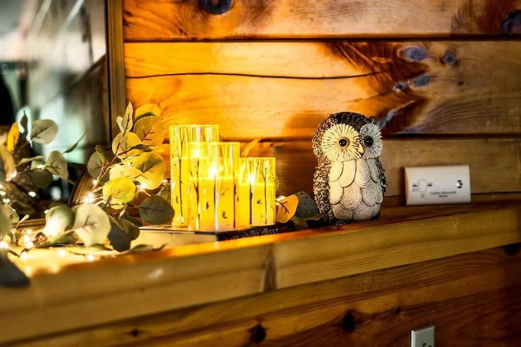 Private! Hot Tub! Parkway 2min! Petsok! Bbq! Hébergement de vacances Pigeon Forge