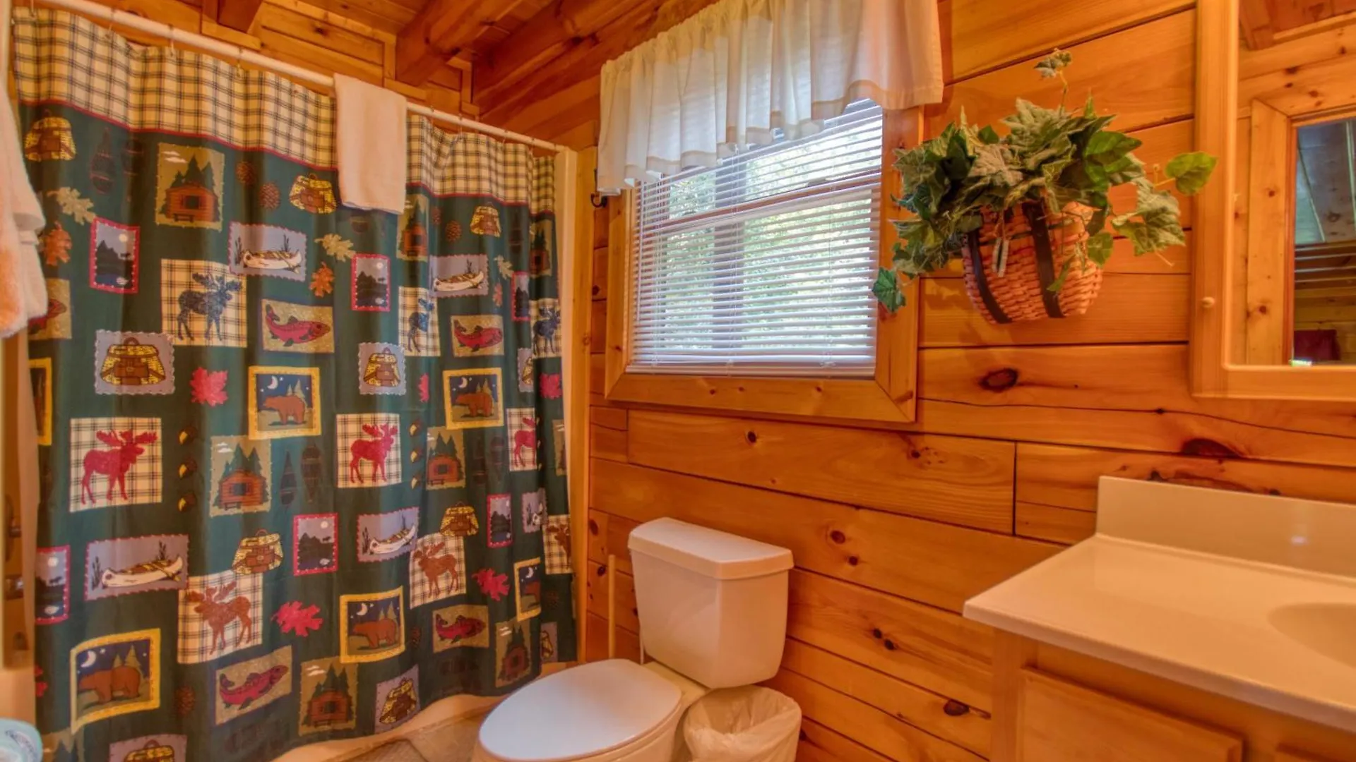 Buddy Bear #249 Casa vacanze Pigeon Forge