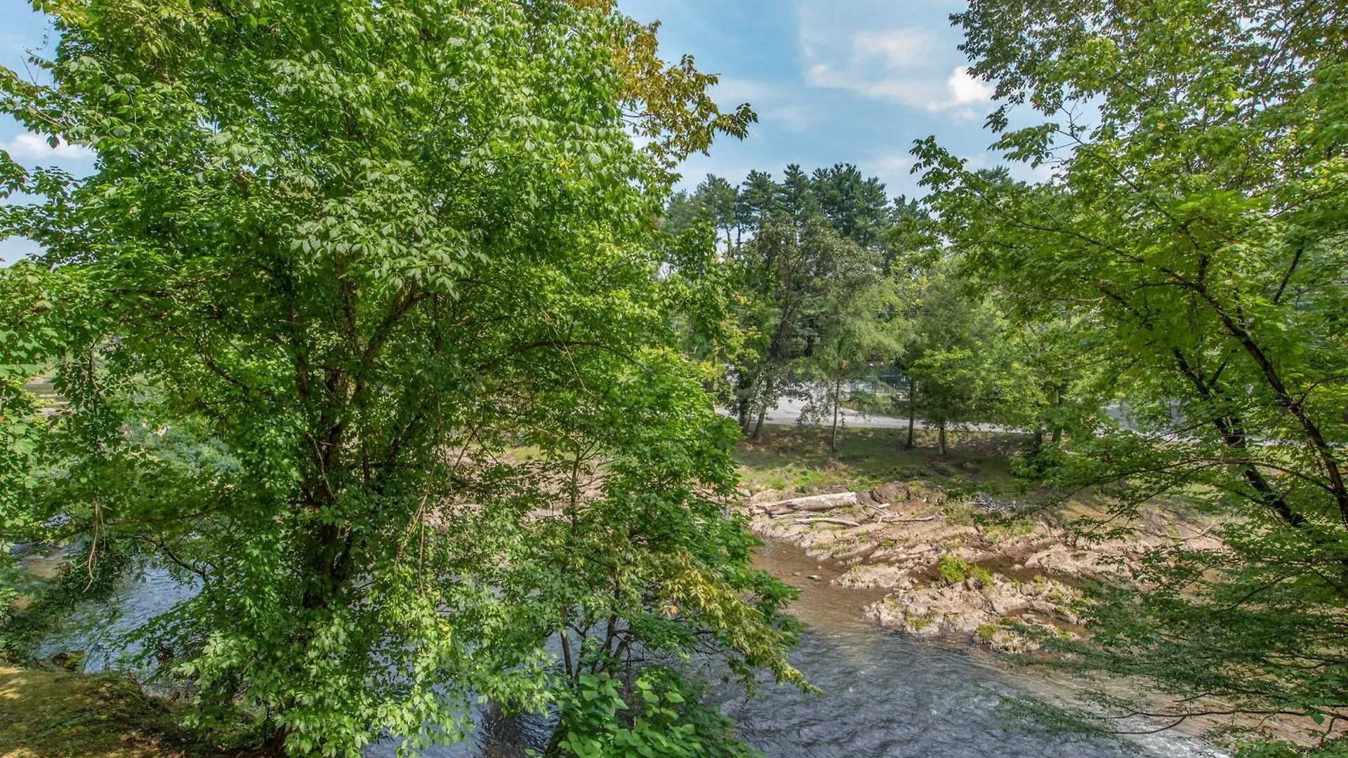 Riverside Dream Cedar 103 Apartment *