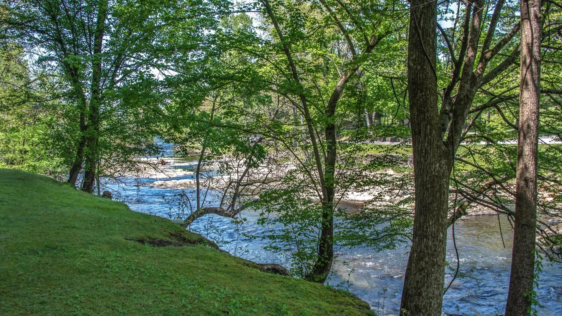 Riverside Dream Cedar 103 *