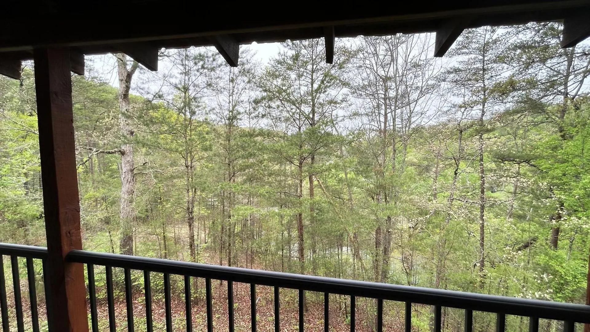 A Magical Experience * Pigeon Forge