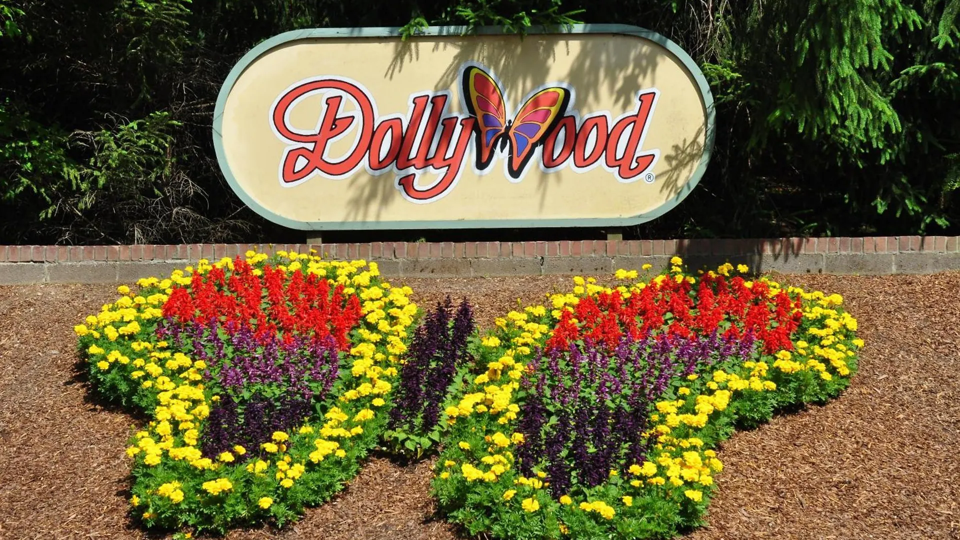 On Dolly Time 1 Mile From Dollywood פיג'ן פורג'