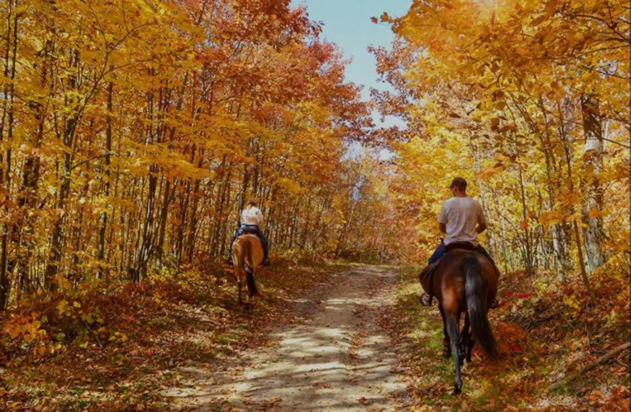 A Magical Experience Pigeon Forge