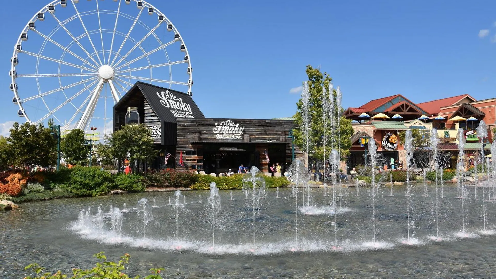 Alpine Near Dollywood, Hot Tub, Game Room, Outdoor Pool, Fast Wifi 펜션 비둘기 포지