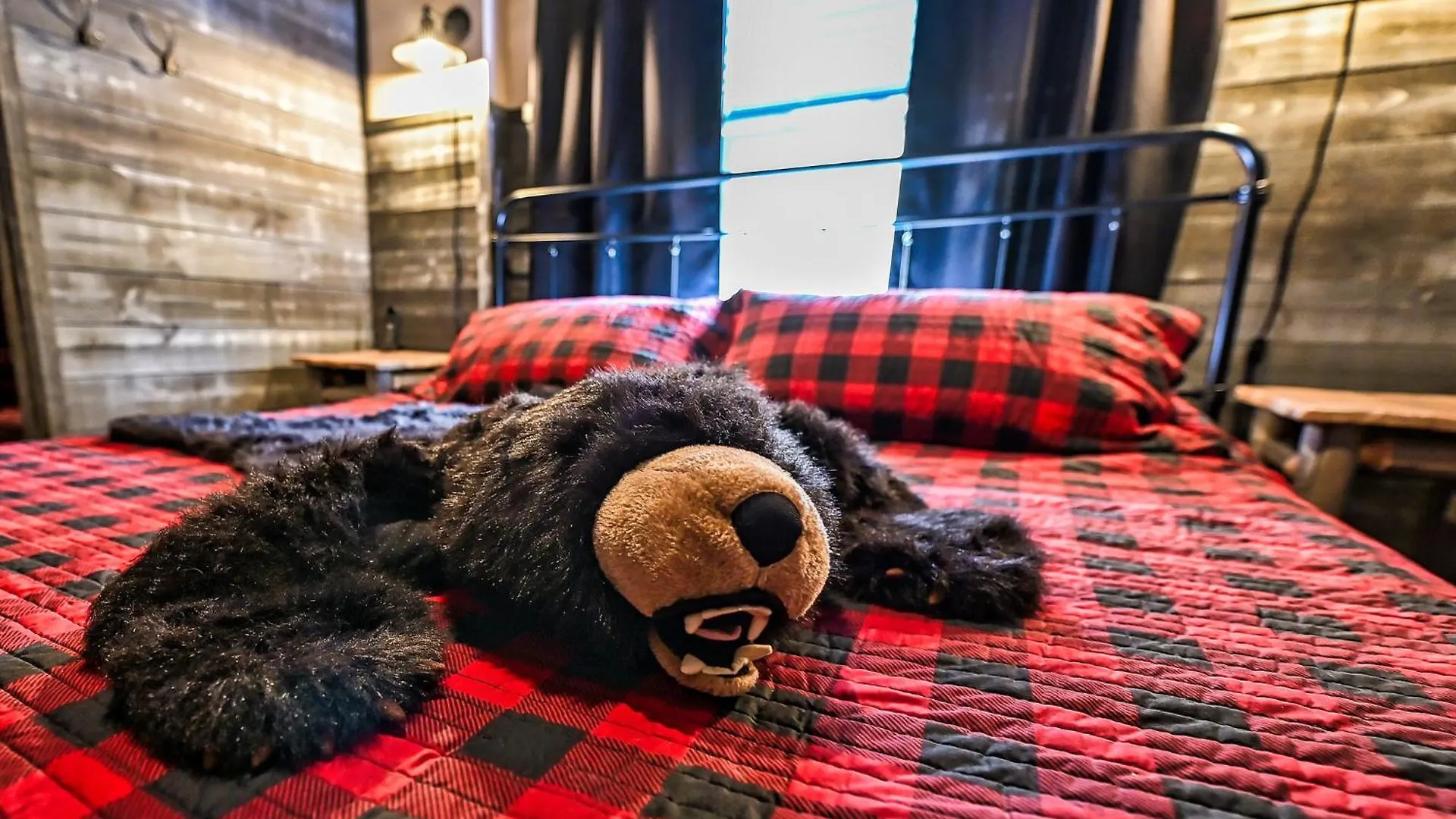 Chalet The Playful Bear *
