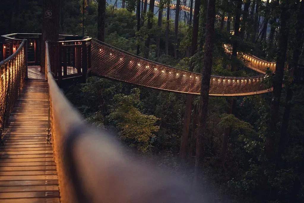 Forest Hollow Hébergement de vacances *