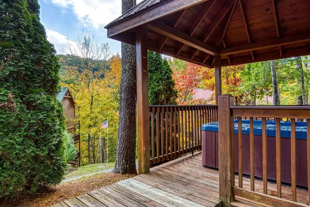 An Awesome View, Game Area, Pools, Pavilion, Free Attraction Tickets, Dollywood And More! *