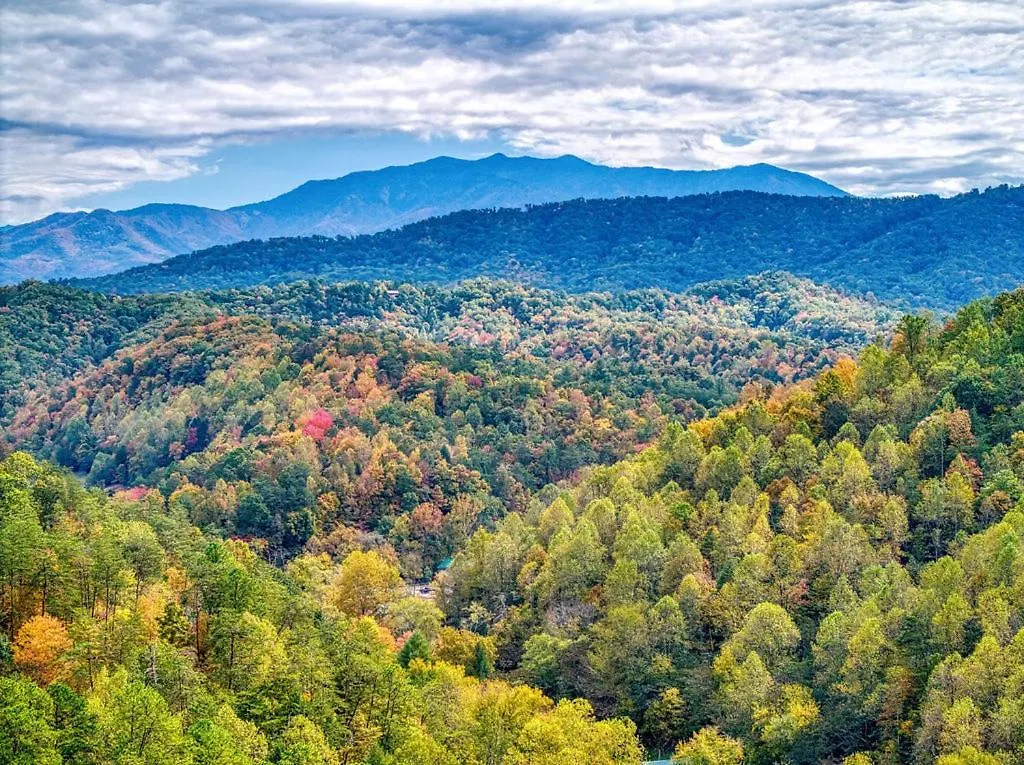 An Awesome View, Game Area, Pools, Pavilion, Free Attraction Tickets, Dollywood And More! 비둘기 포지