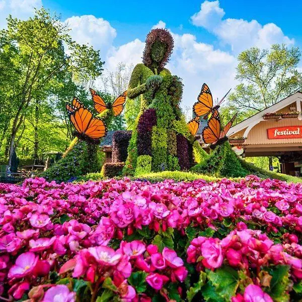 펜션 Pigeon Forge Smokies Cabin W View, Games, Hot Tub