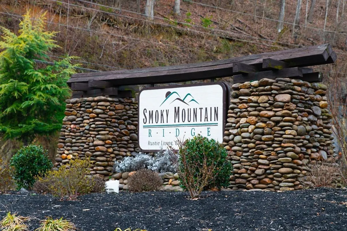 New Luxury Newly Furnished Sleeps 20 Stunning View Heated Indoor Pool With New Mural Arcade Games Theater And Karaoke Holiday home Pigeon Forge
