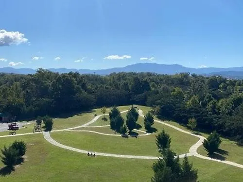 A Bear's Hibernation * Pigeon Forge