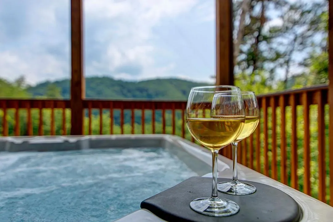 Chateaux Nirvana, Free Tickets, No Catch! Сasa de vacaciones *
