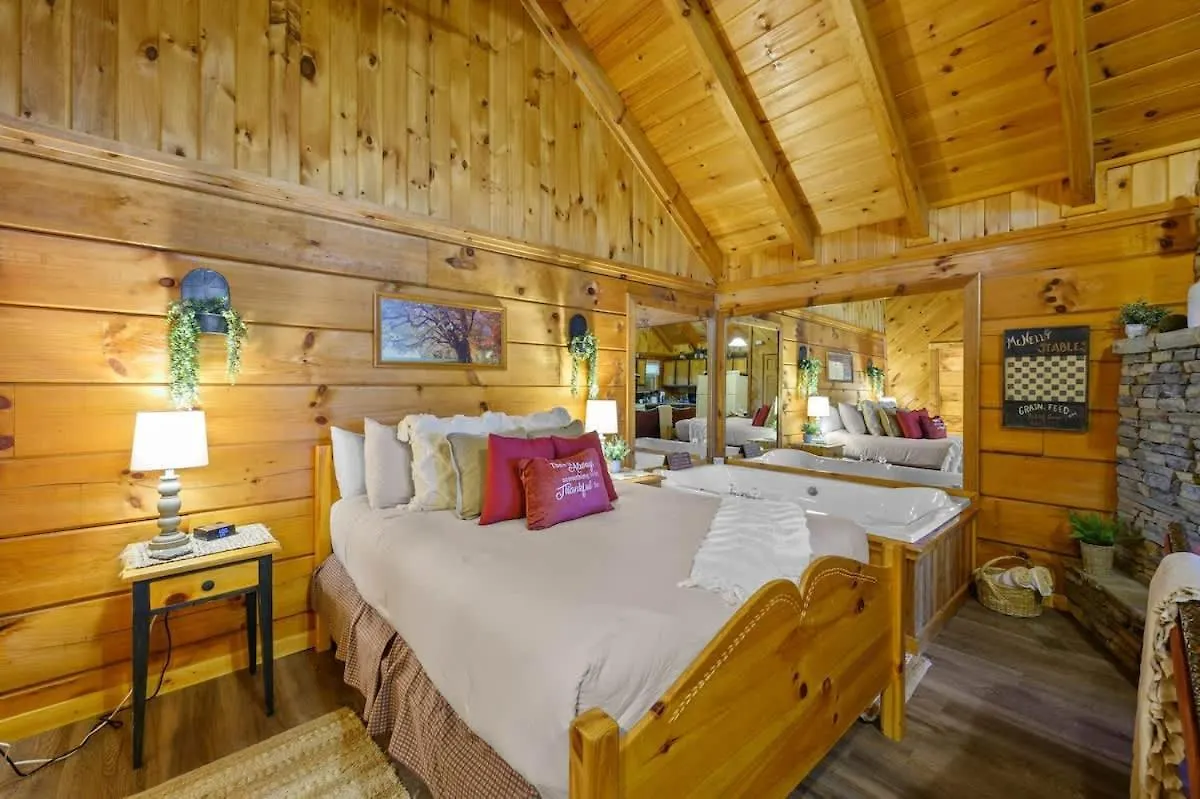 Hébergement de vacances Do Not Disturb - Smoky Mountain Cabin, Hot Tub, Fireplace Pigeon Forge