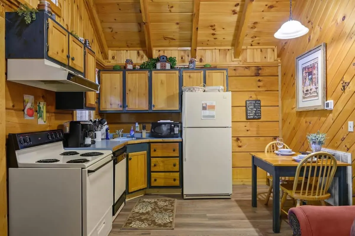 Hébergement de vacances Do Not Disturb - Smoky Mountain Cabin, Hot Tub, Fireplace