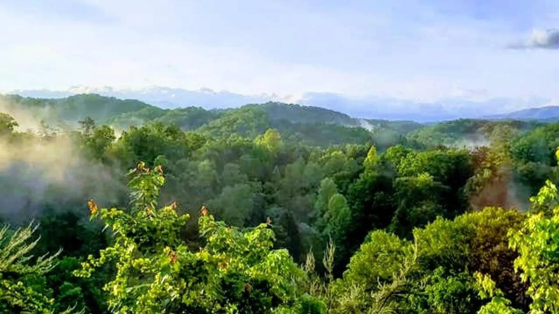Peek-a-view*romantic Swing Mountnview Hottub * 비둘기 포지