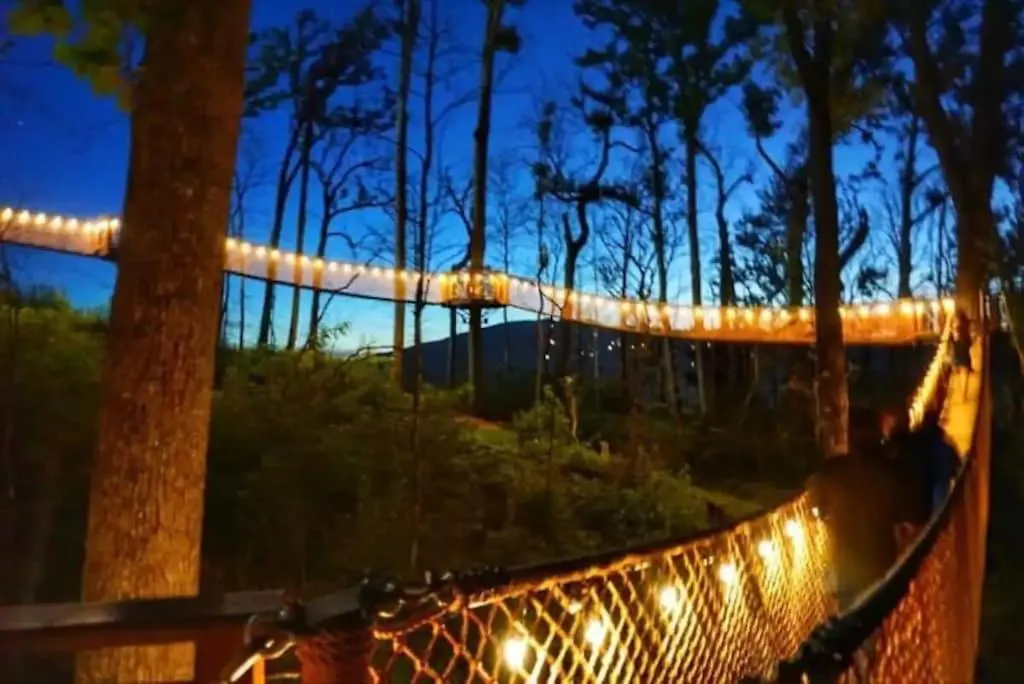 Cant Bear To Leave 2 By Avada Pigeon Forge
