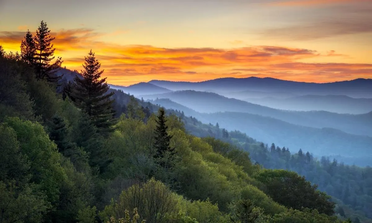 Cozy Haven Near Parkway W Hot Tub & Pool * Pigeon Forge