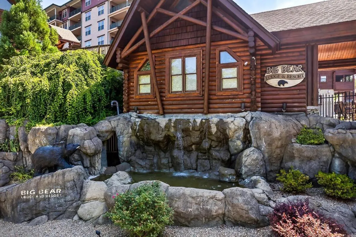 Cozy Near Smoky W Pool & Grill *