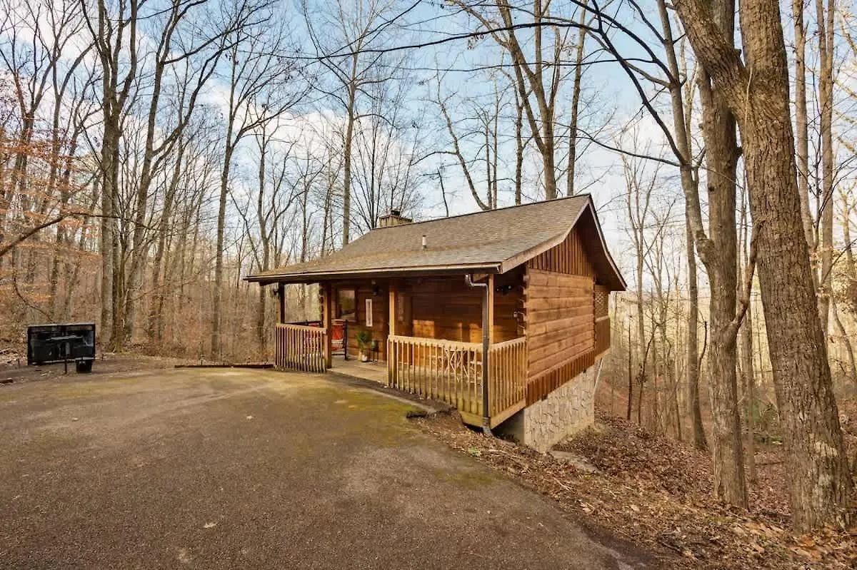 Tatil Evi Location-quiet-hottub-fireplace Pigeon Forge