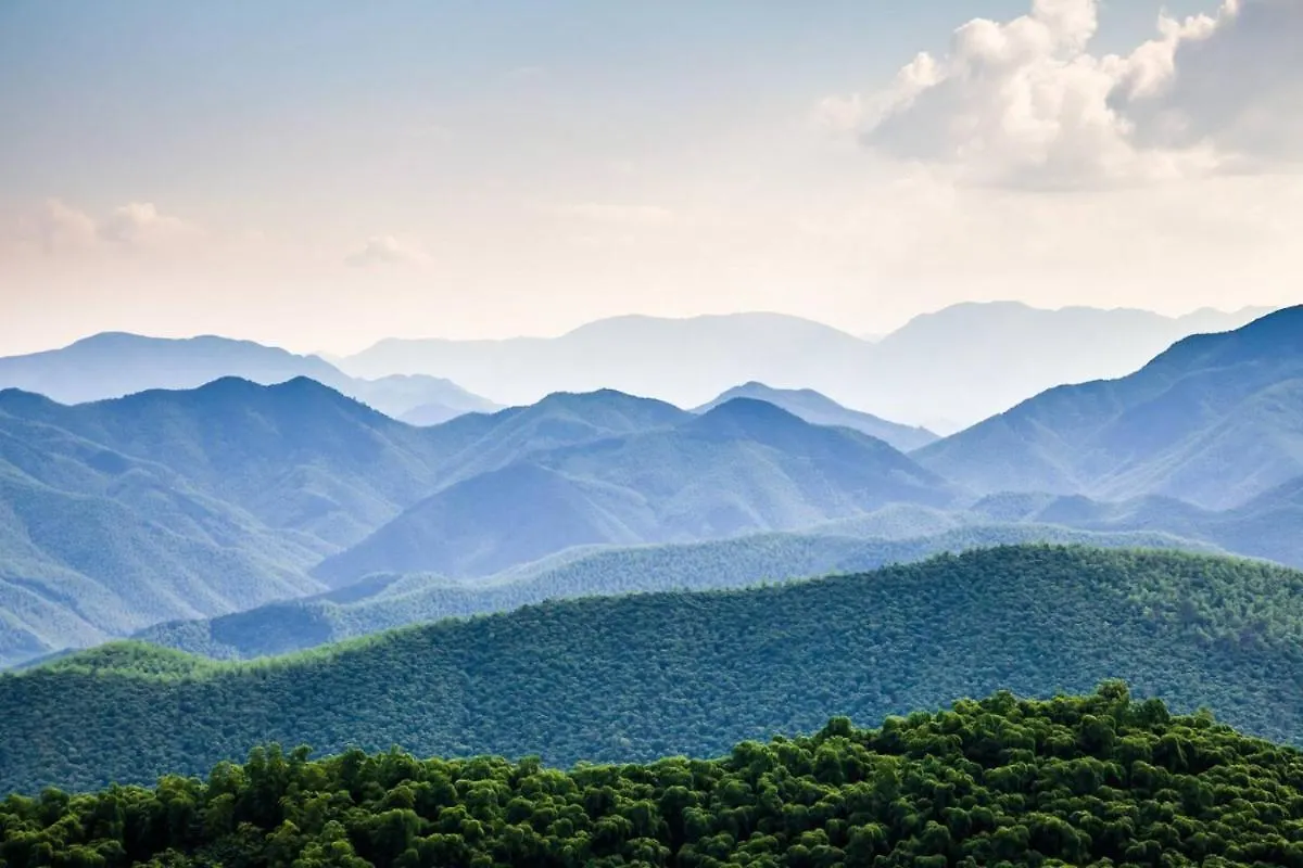 Smoky Mountain Sapphire By Avada * Pigeon Forge