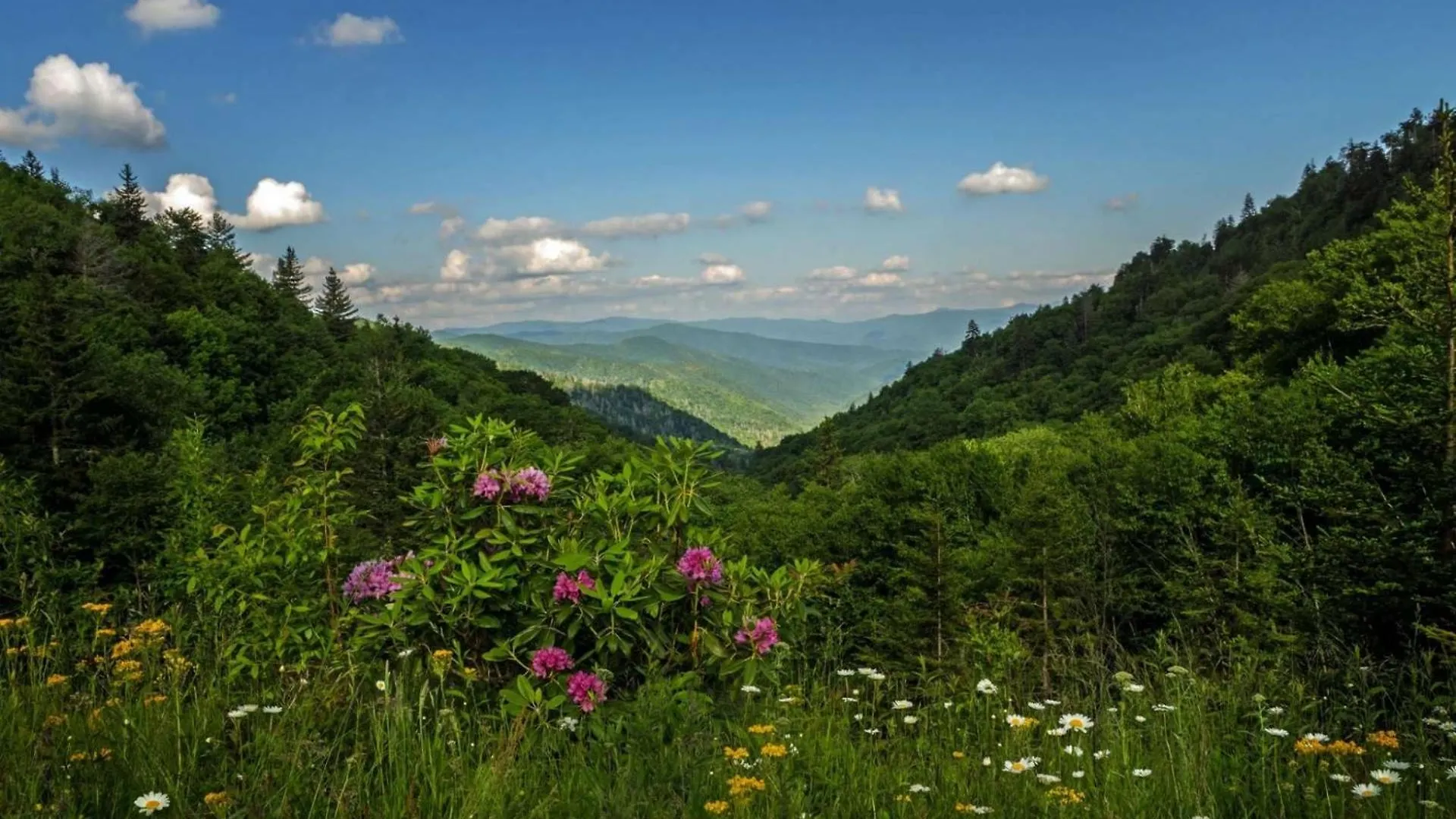 Simply Blessed Mountain View 1605 Tatil Evi Pigeon Forge
