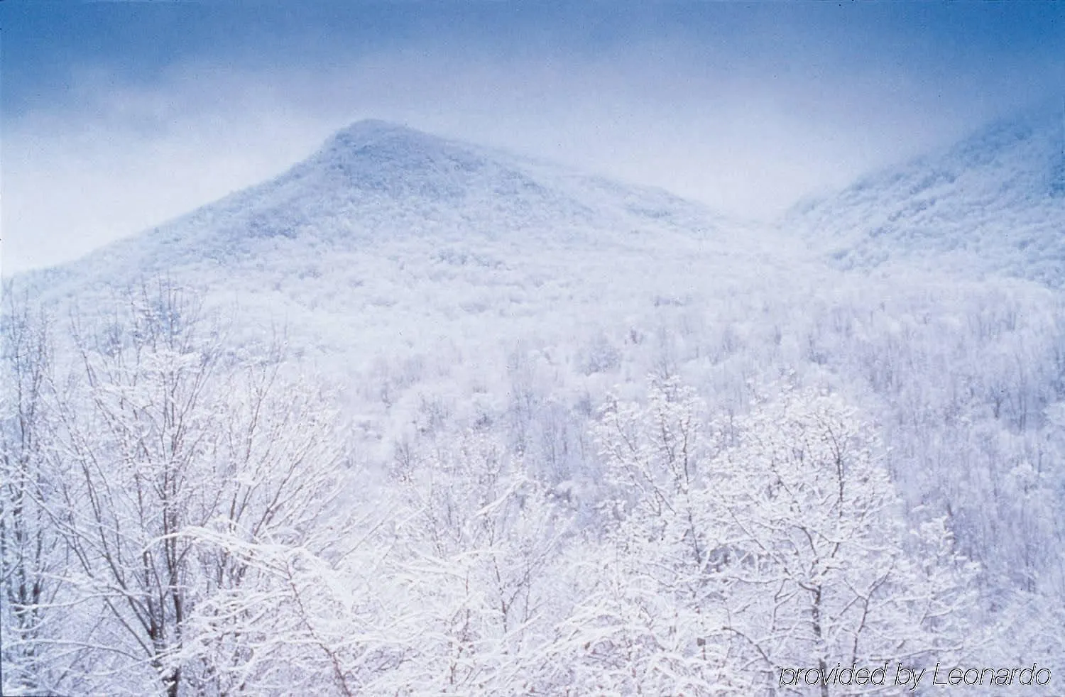 Club Wyndham Smoky Mountains 3*