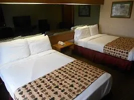 Hotel Guest