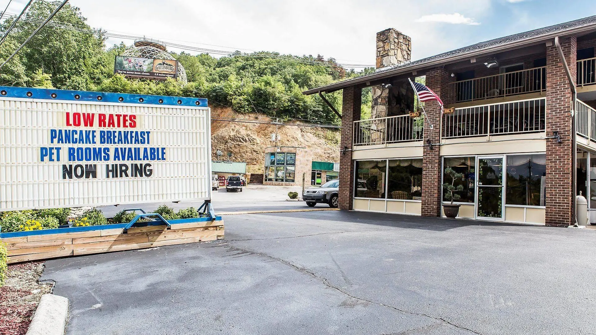 Wild Bear 3* Pigeon Forge
