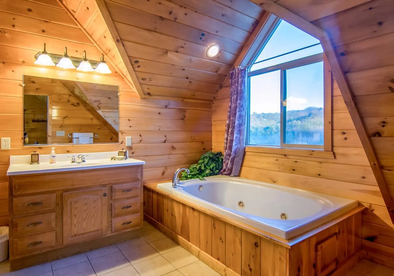 Moose Hollow Holiday home Pigeon Forge