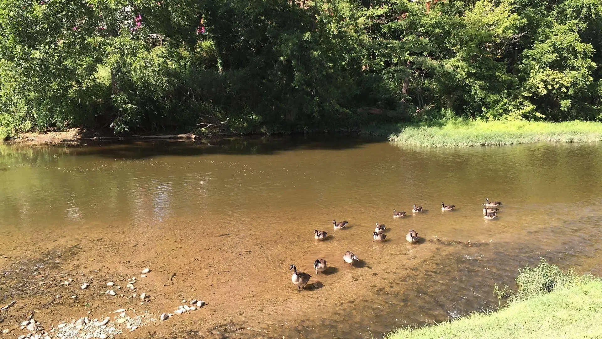 Pigeon River Hotel Pigeon Forge