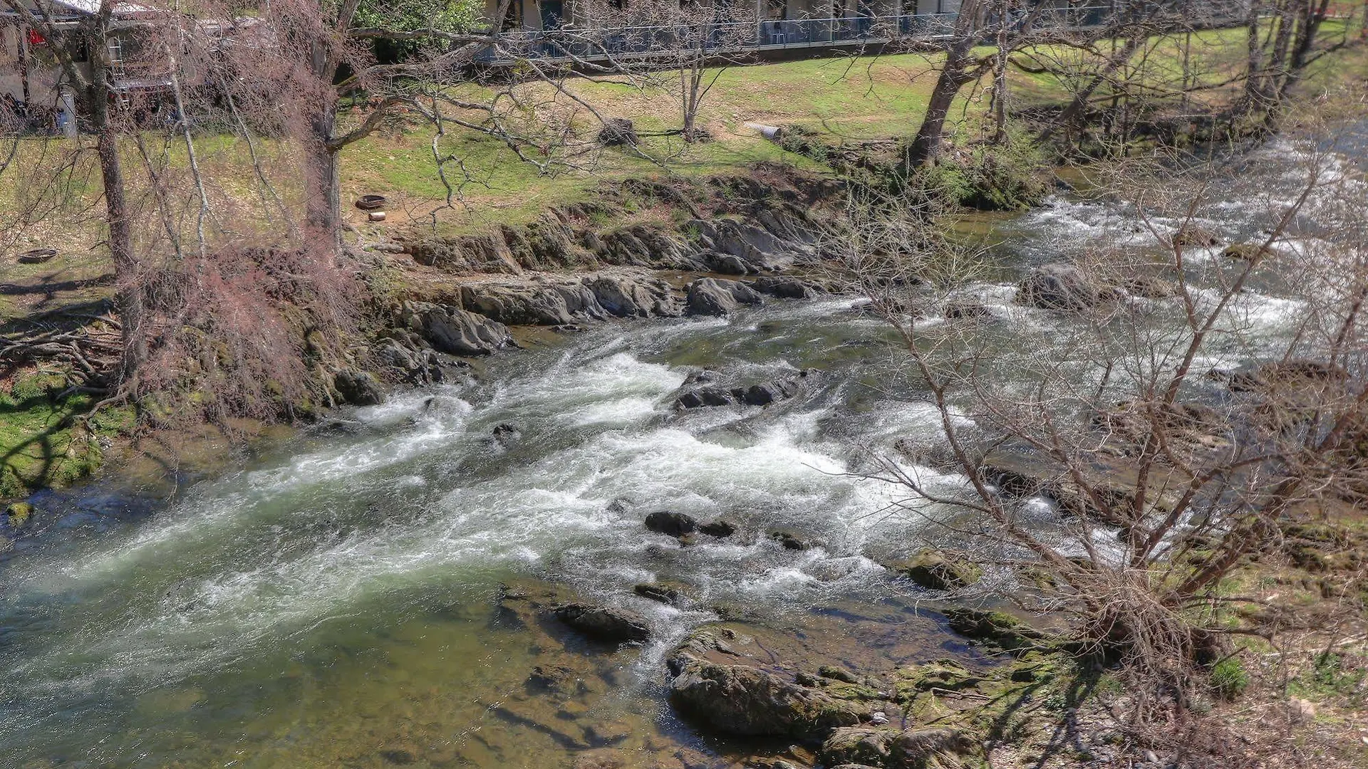 Creekstone 2*