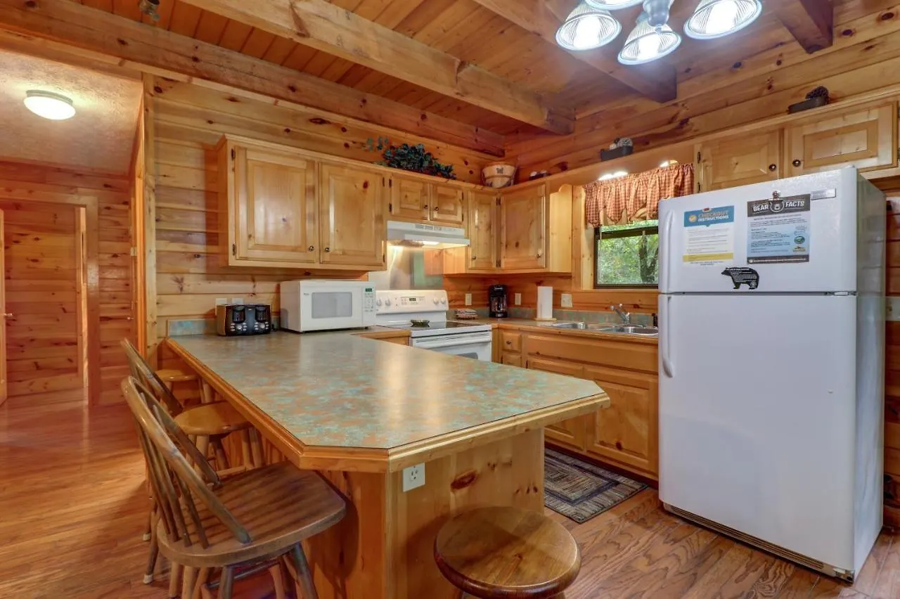 Casa vacanze Friendly Bear Pigeon Forge