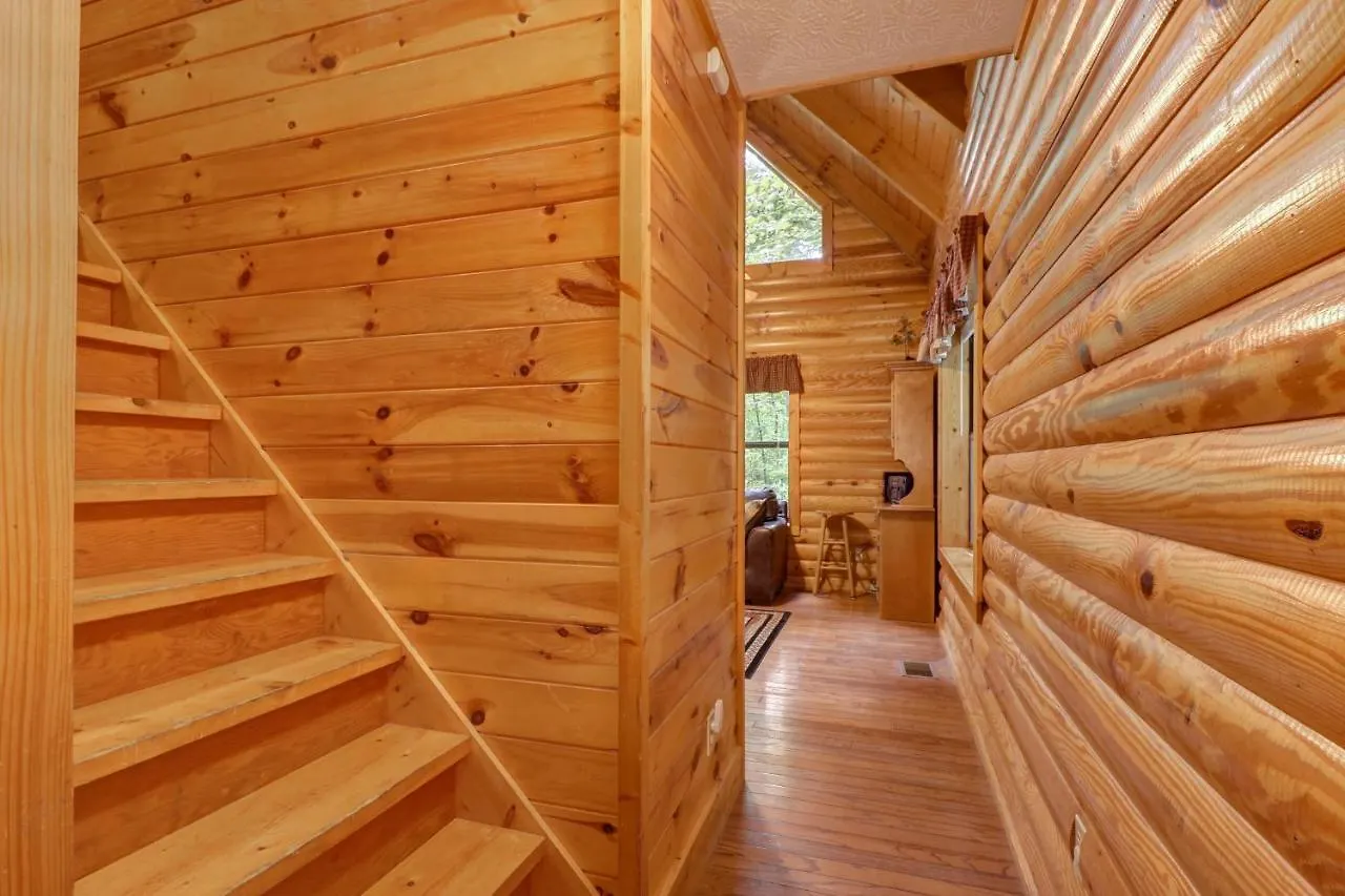 Casa vacanze Friendly Bear Pigeon Forge