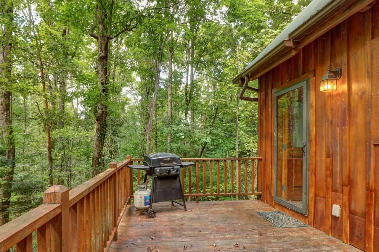 Casa vacanze Friendly Bear Pigeon Forge