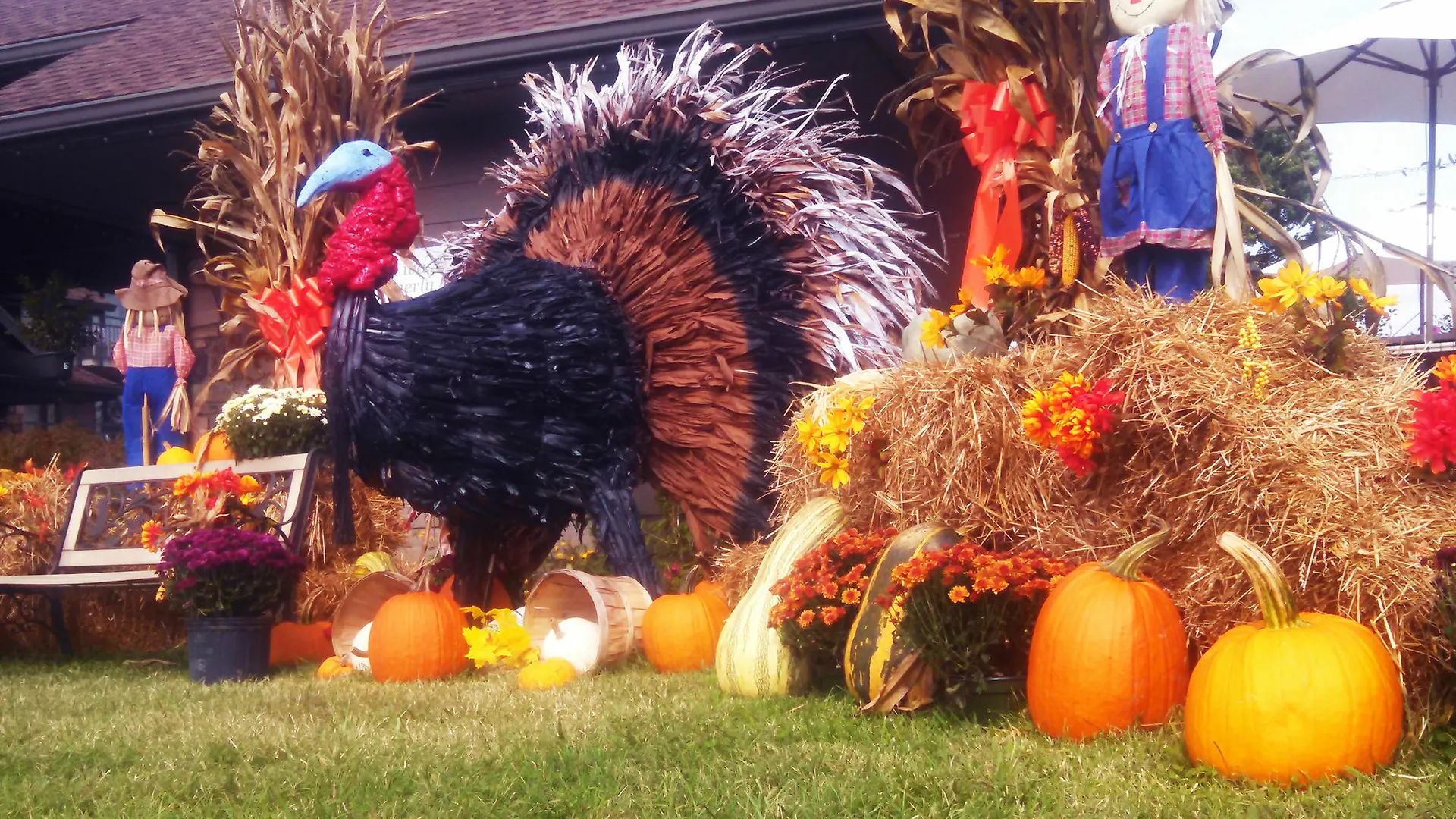 Arbors At Island Landing & Pigeon Forge