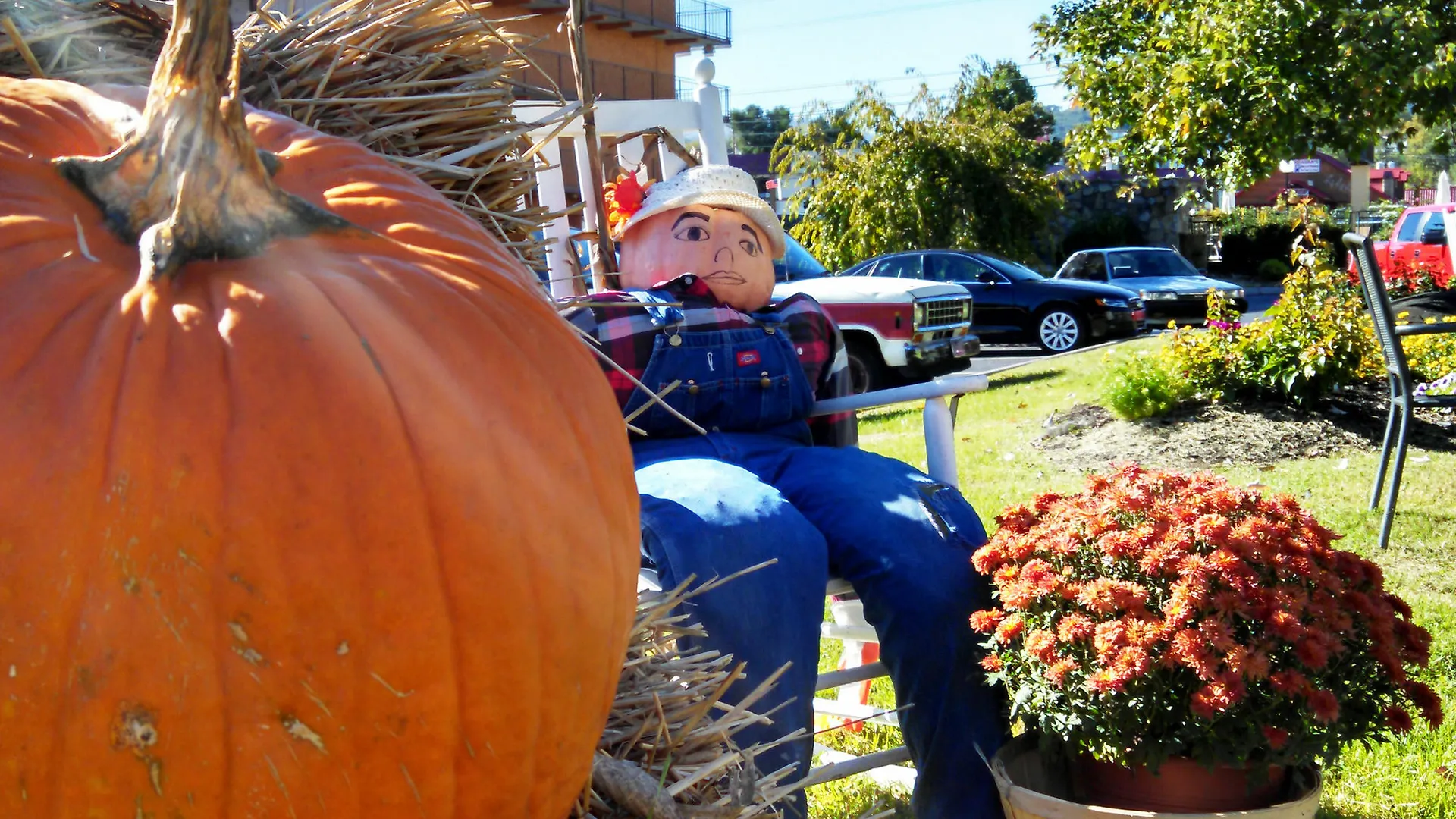 Arbors At Island Landing &