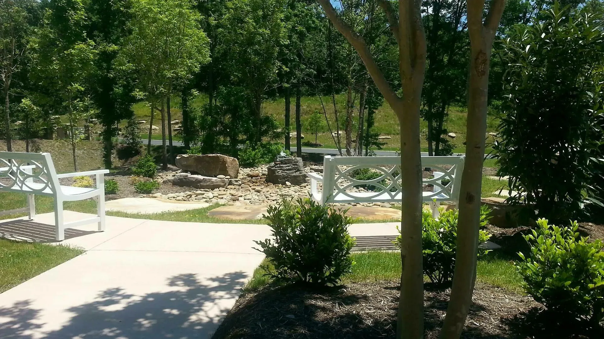 Resort Dollywood's Dreammore And